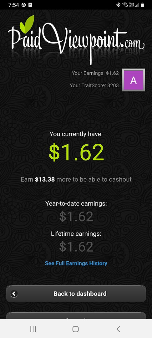 paid viewpoint payment proof